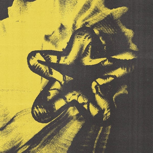 Fibonocci cover