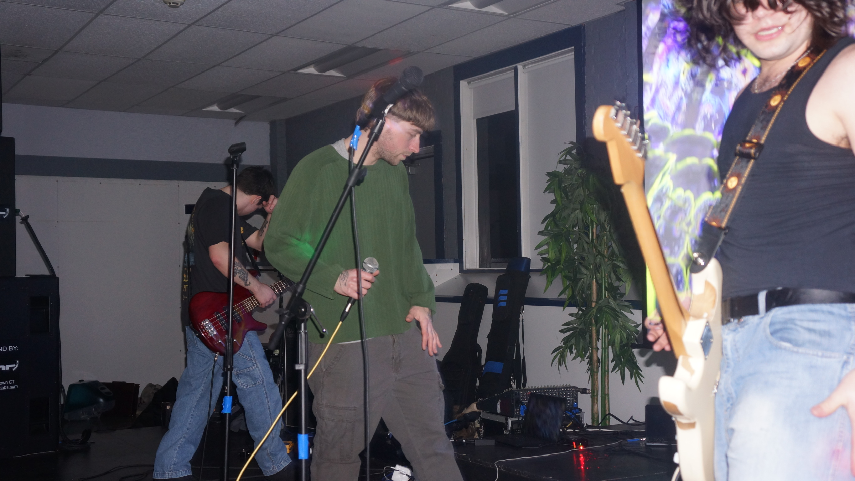 NewFare performing live